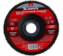 Круг лепестковый торцевой, P 24, 125 х 22,2 мм// Matrix